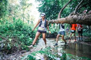 BIB: 
                            <button type="button" onclick="openModal(25441610)" class="btn btn-primary btn-sm float-right btn-popup" data-toggle="modal" data-target=".modal-high-quality">
                        <i class="fas fa-shopping-cart"></i> Add to Cart
                    </button>
                                            <button type="button" onclick="isThisMe(25441610, true)" class="btn btn-success btn-sm float-right btn-popup btn-isme hidden" data-toggle="tooltip" data-placement="bottom" title="นี่คือรูปของคุณใช่ไหม คลิกที่นี่เพื่อเอาเข้าอัลบั้ม">
                        <i class="fas fa-plus"></i> Add to album
                    </button>
                    <button type="button" onclick="isThisMe(25441610, false)" class="btn btn-warning btn-sm float-right btn-popup btn-isnotme hidden">
                        <i class="fas fa-ban"></i> Remove from album
                    </button>